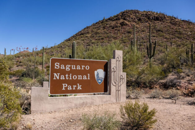 Saguaro National Park