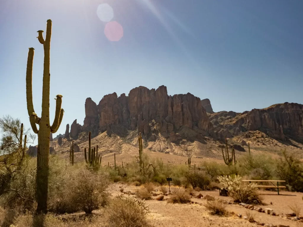 Saguaro National Park
