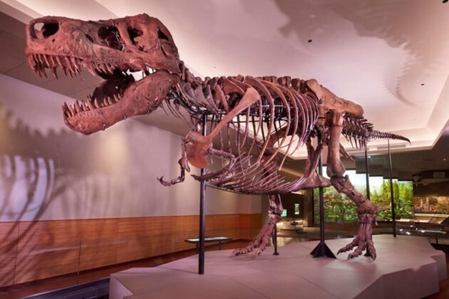 Saint Louis Science Center
