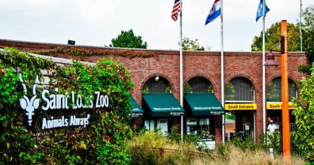 Saint Louis Zoo