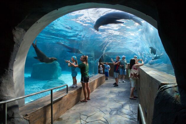 Saint Louis Zoo