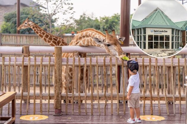 Saint Louis Zoo
