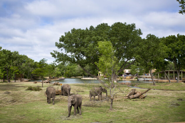 Sedgwick County Zoo