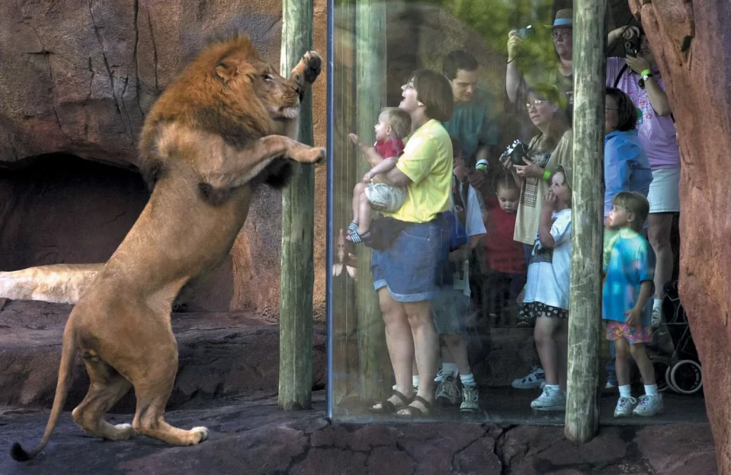Sedgwick County Zoo