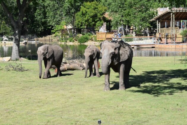 Sedgwick County Zoo