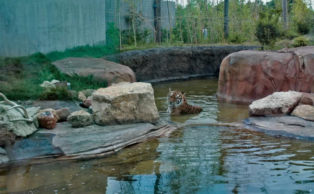 Sedgwick County Zoo