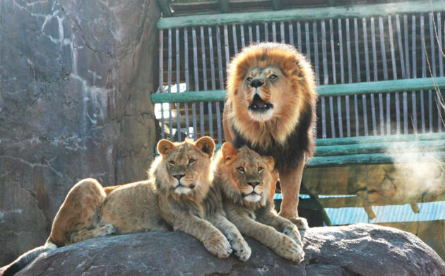 Sedgwick County Zoo