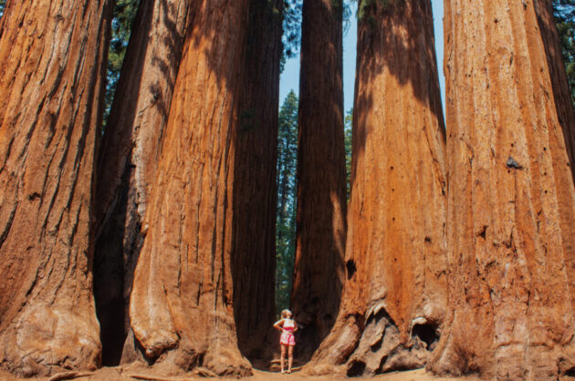 Sequoia National Park ★★