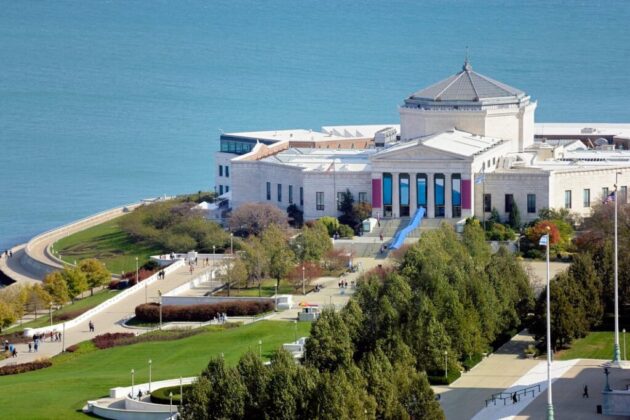 Shedd Aquarium