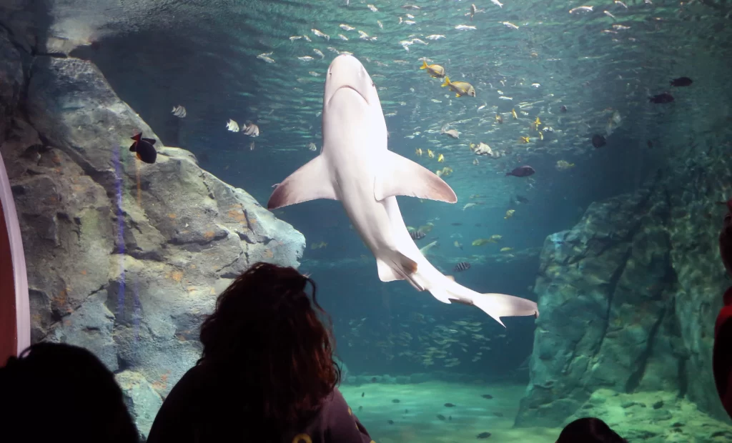 St. Louis Aquarium at Union Station