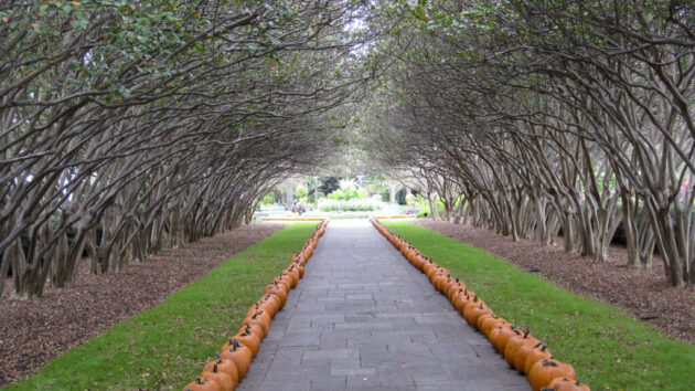 The Dallas Arboretum and Botanical Garden