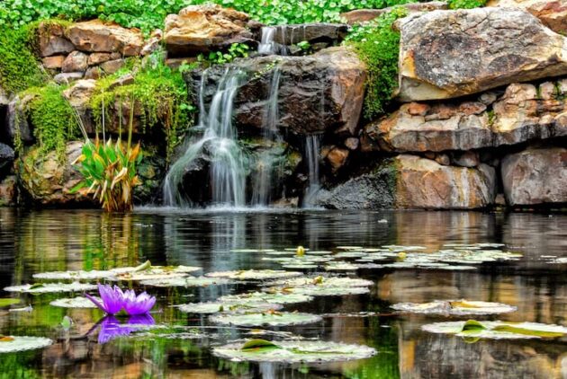 The Dallas Arboretum and Botanical Garden