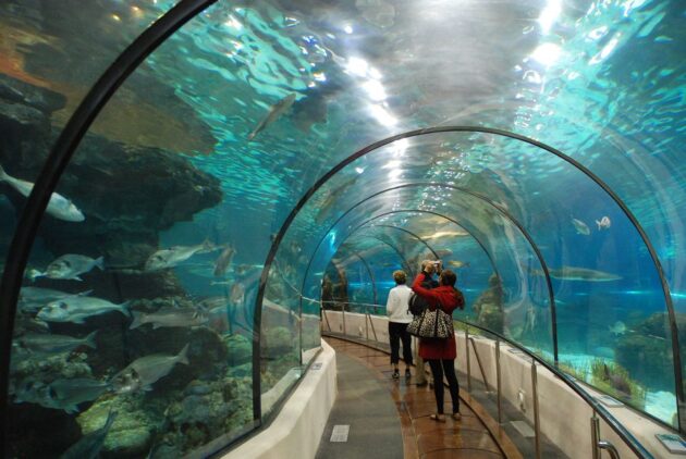 The Dallas World Aquarium