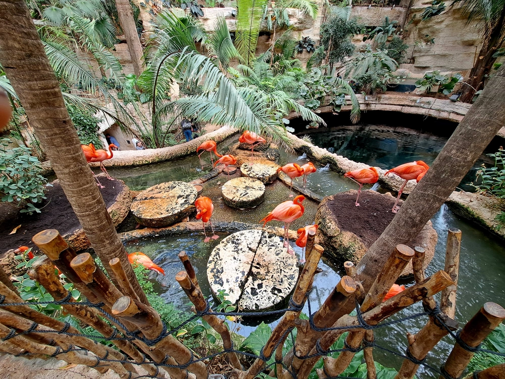 The Dallas World Aquarium