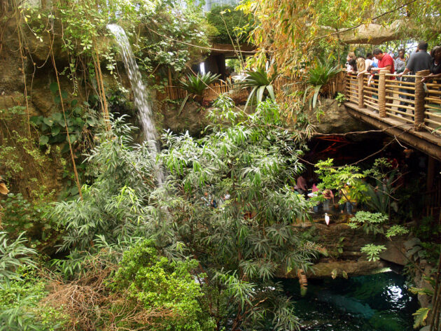 The Dallas World Aquarium