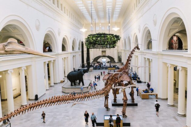 The Field Museum