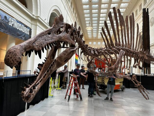 The Field Museum