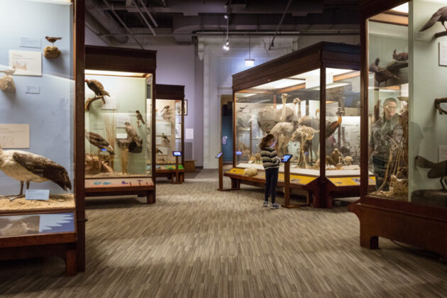 The Field Museum