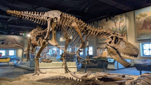 The Field Museum