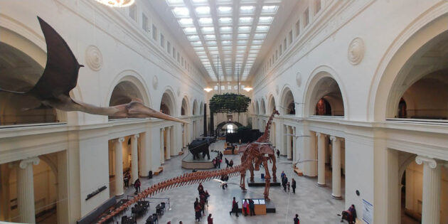 The Field Museum