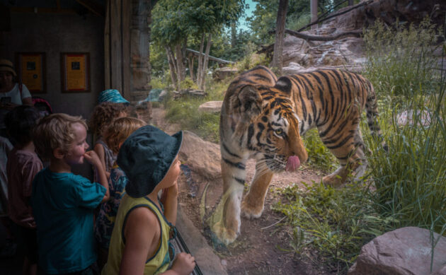 Utah's Hogle Zoo