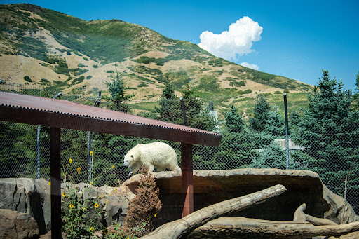 Utah's Hogle Zoo