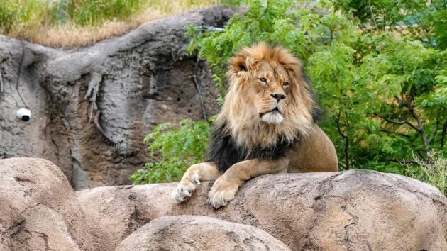 Utah's Hogle Zoo