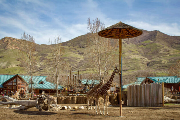 Utah's Hogle Zoo