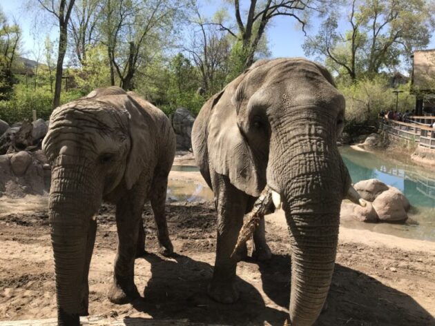 Utah's Hogle Zoo