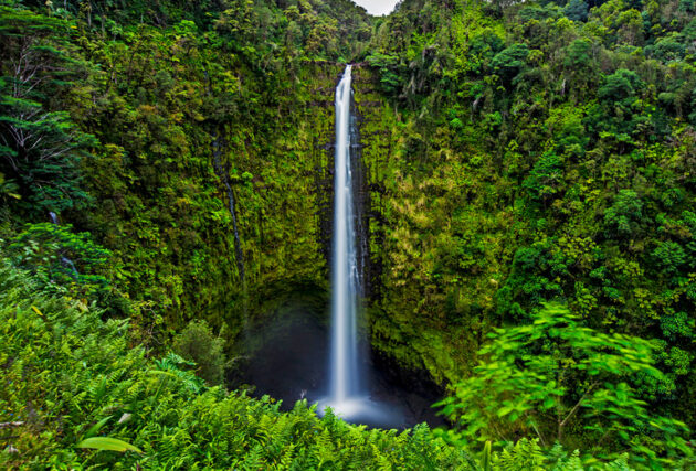 Akaka Falls State Park