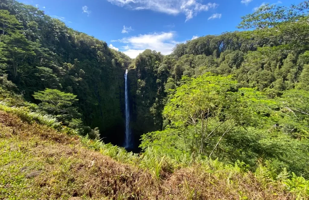 Akaka Falls State Park