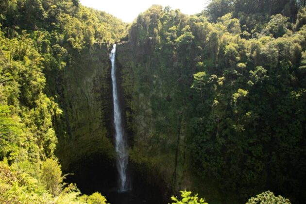 Akaka Falls State Park