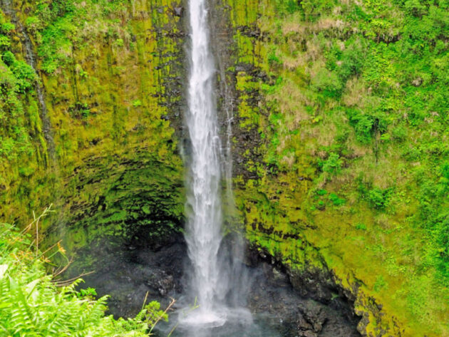 Akaka Falls State Park