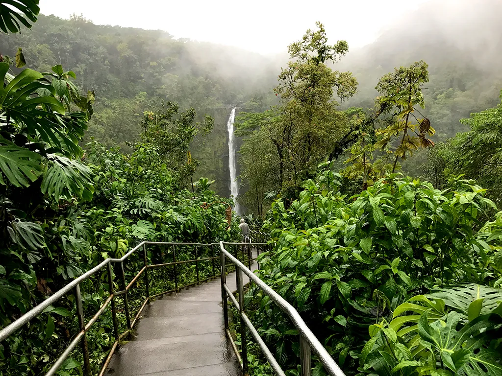 Akaka Falls State Park