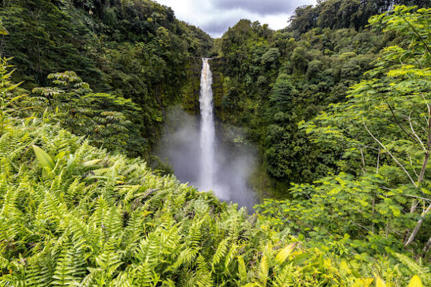 Akaka Falls State Park