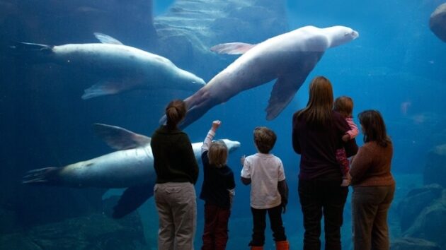 Alaska SeaLife Center