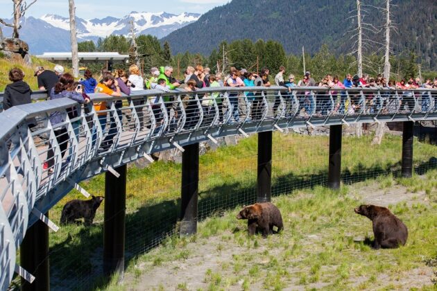 Alaska Wildlife Conservation Center