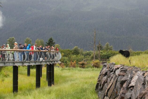 Alaska Wildlife Conservation Center