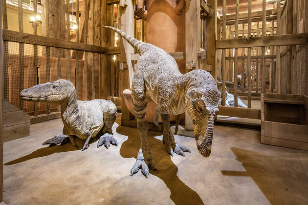 Ark Encounter