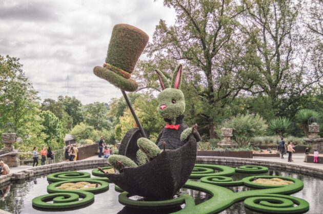 Atlanta Botanical Garden