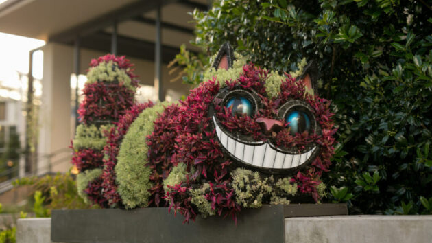Atlanta Botanical Garden