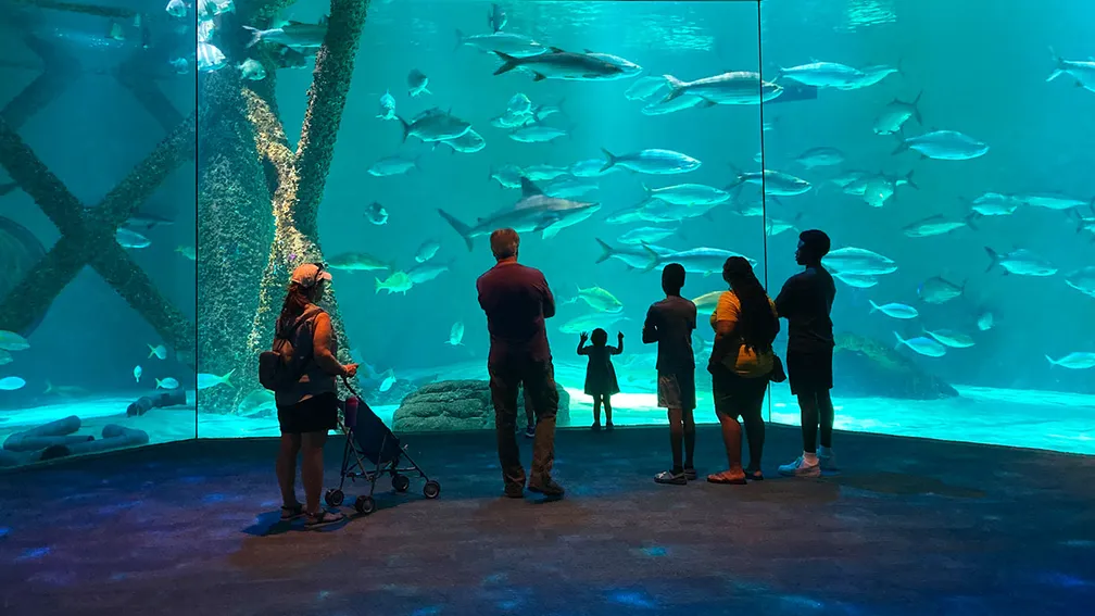 Audubon Aquarium