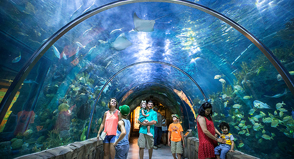Audubon Aquarium