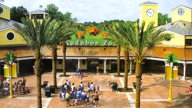 Audubon Zoo