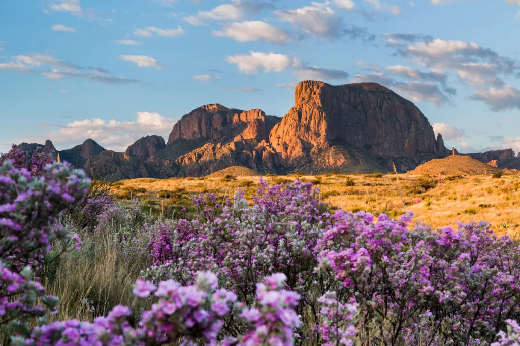 Big Bend National Park