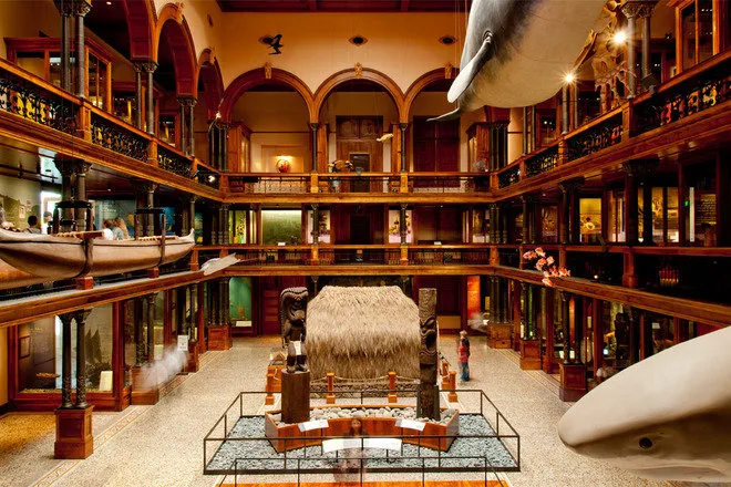 Bishop Museum