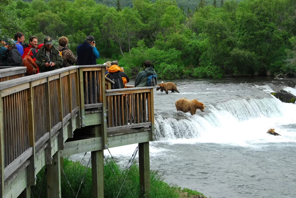 Brooks Falls Bear Viewing Platform