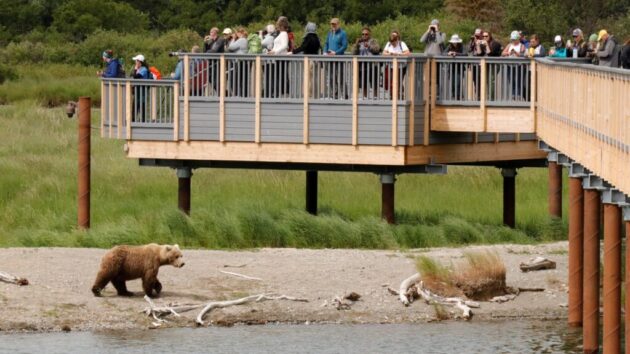 Brooks Falls Bear Viewing Platform