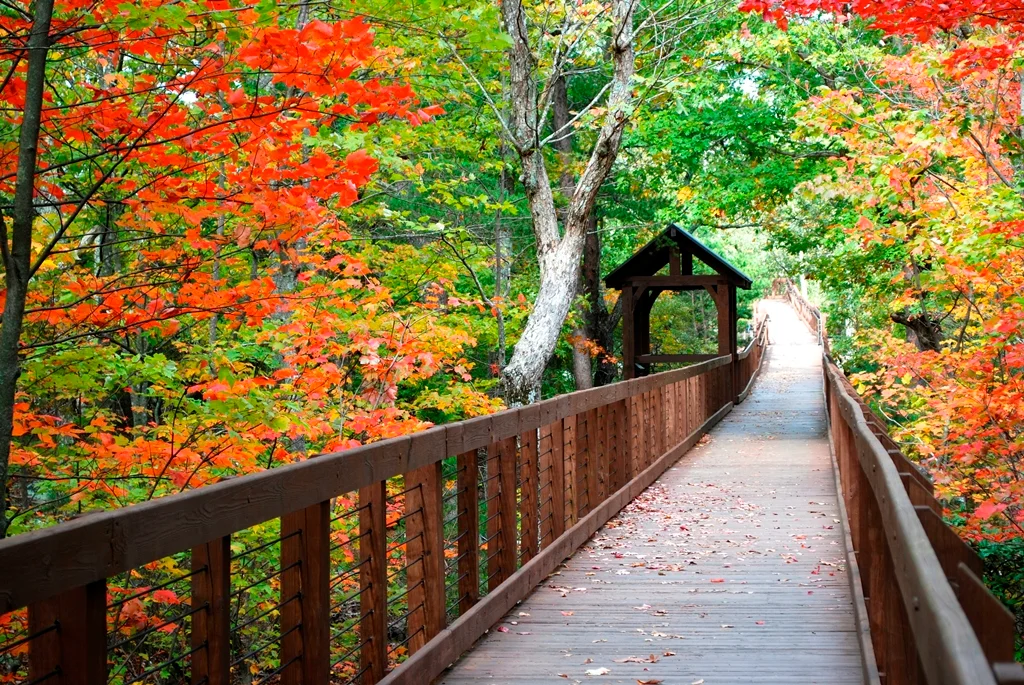 Cheaha State Park