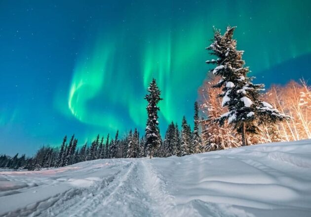 Chena Hot Springs Resort